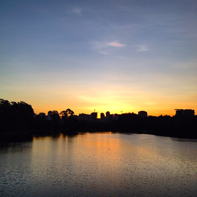 Por do sol no Parque do Ibirapuera