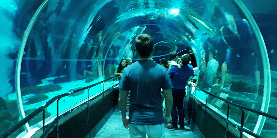 AquaRio - o maior aquário da América do Sul - Uma Viagem Diferente