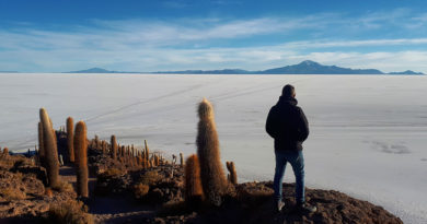 Ilha dos Cactos Salar de Uyuni