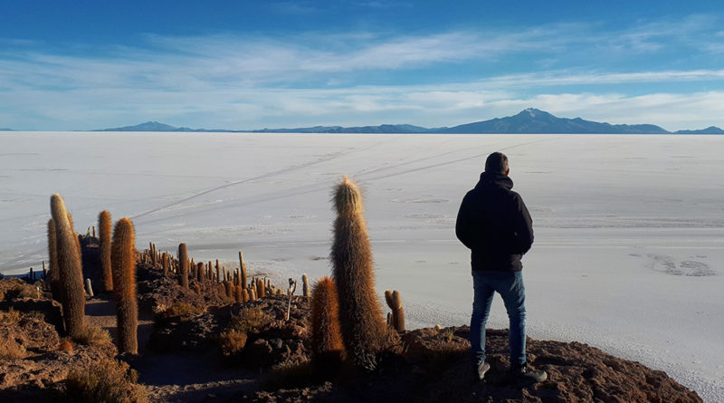 Ilha dos Cactos Salar de Uyuni