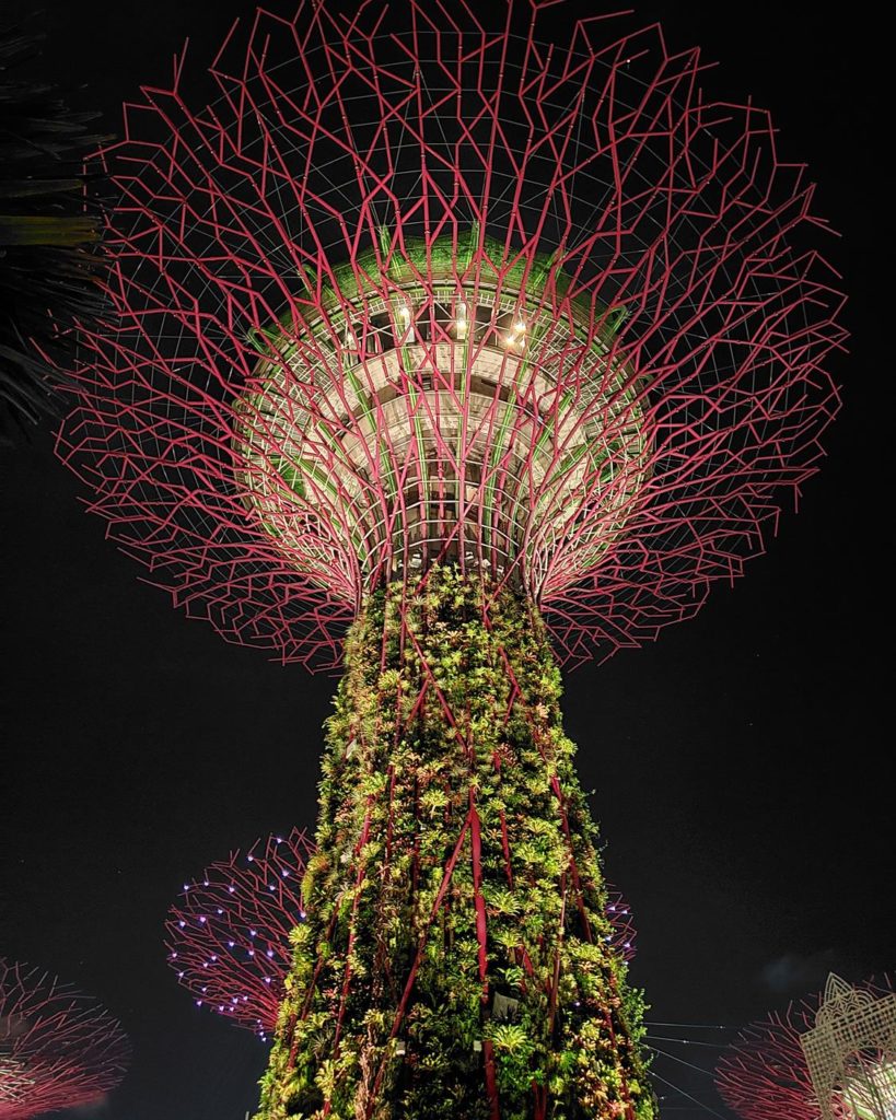 Super Tree Grove Gardens by the Bay