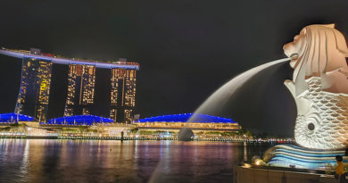 O que fazer em Singapura - The Merlion