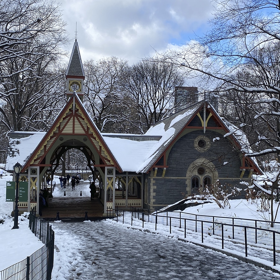 central park com neve, neve em nova york