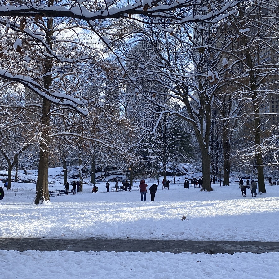 inverno em Nova york central park com neve